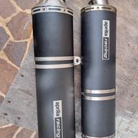 Terminali Aprilia RSV