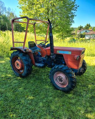 TRATTORE SAME DELFINO 35 1976
