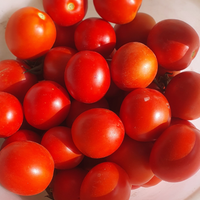 Verdure stagionali bio