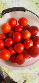 Verdure stagionali bio