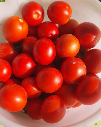 Verdure stagionali bio