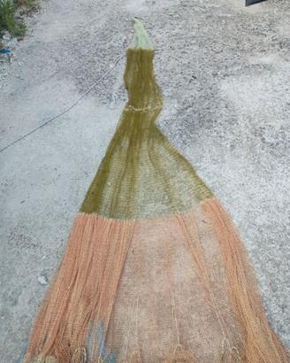 Rezzaglio per cefalotti