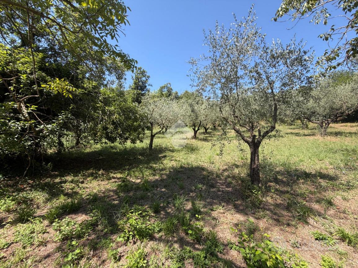 TER. AGRICOLO A SAN CESAREO - Vista 4