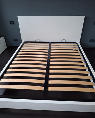 letto Maronese acf