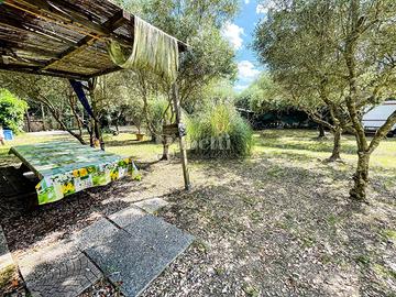 Terreno Agricolo Grosseto [Cod. rif 3324025VCG]