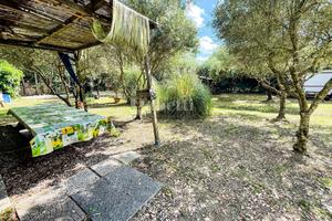 Terreno Agricolo Grosseto [Cod. rif 3324025VCG]