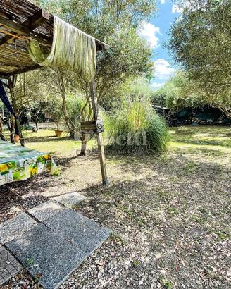 Terreno Agricolo Grosseto [Cod. rif 3324025VCG]
