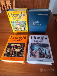 4 volumi di CETTO centro Bresaola TN funghi