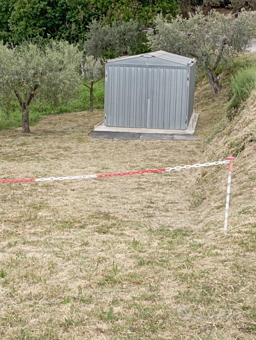 Terreno Agricolo con uliveto - Vista 3