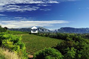 Rif.DT204AB| area edificabile san pietro di felet