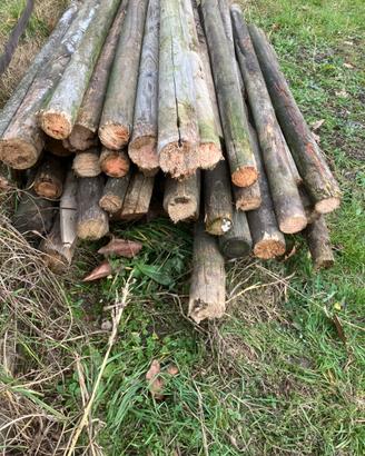 Pali in legno