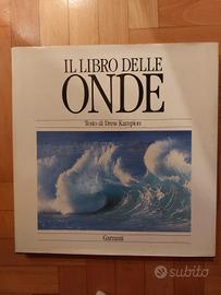 Drew Kampion - Il libro delle onde - 
