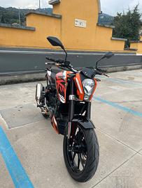 KTM Duke 125 anno 2016 ABS