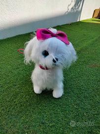 Cane che cammina e abbaia