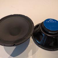 Altoparlanti Eminence 12" (30 cm)