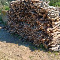 Legna da ardere tagliata. Pronta per l'utilizzo.