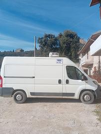 Peugeot boxer Polar line