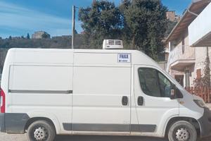 Peugeot boxer Polar line