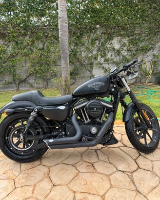 Harley davidson iron 883 2017