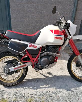 MOTO YAMAHA  XT600 TENERE' DEL 04/1984