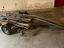 Immagine 3