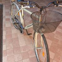 bicicletta city bike