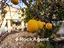 Immagine 29