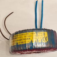 Trasformatore toroidale