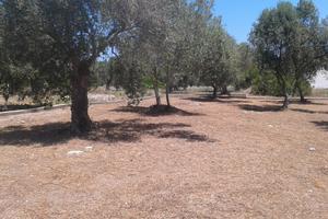 Terreno edificabile vicinanze mare