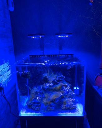 Acquario VIV Marine + mobile supporto