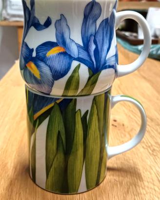 tazze Taitù iris