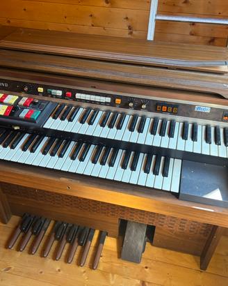 Organo elettrico