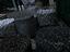Immagine 15
