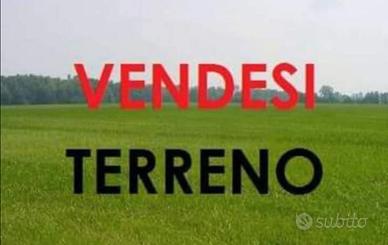 Terreno agricolo via aurelia Cerveteri