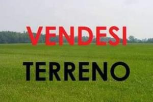 Terreno agricolo via aurelia Cerveteri