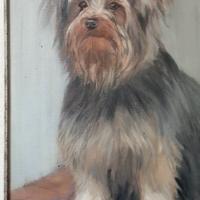 RITRATTO DI CANE YORKSHIRE , OLIO SU TELA .