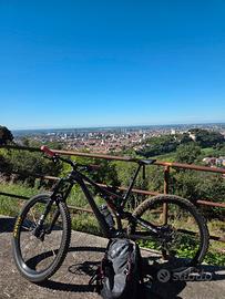 specialized stumpjumper