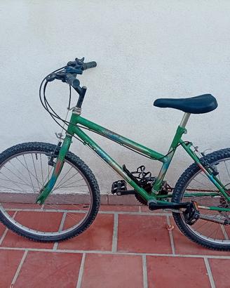 Mountain bike 