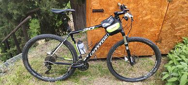 bici Mountain bike Cannondale XL 29 