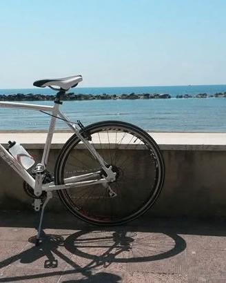 Bicicletta Bottecchia Lite Cross