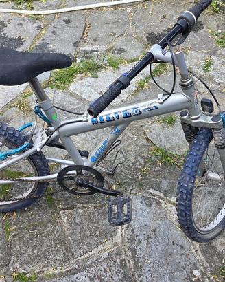 Mountain bike bambino