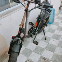 bici elettrica 