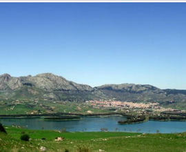 Terreno agricolo