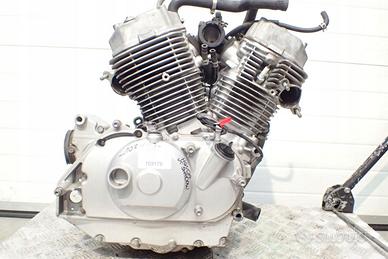 MOTORE Honda VT 750 Shadow 2007 – 72.298 km