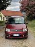 fiat-panda-1-2-dynamic-ok-neopatentati