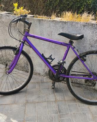 Mtb da ragazzo