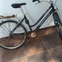 Bicicletta Nuzzi