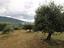 Immagine 8
