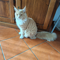 Fidanzatina per Axel