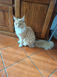 Fidanzatina per Axel